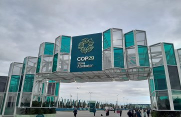 COP29