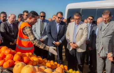 وزيرا الزراعة المصرى والأردنى يتفقدان مشروعات جهاز مستقبل مصر