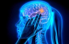 شريحة ذكية شريحة ذكية