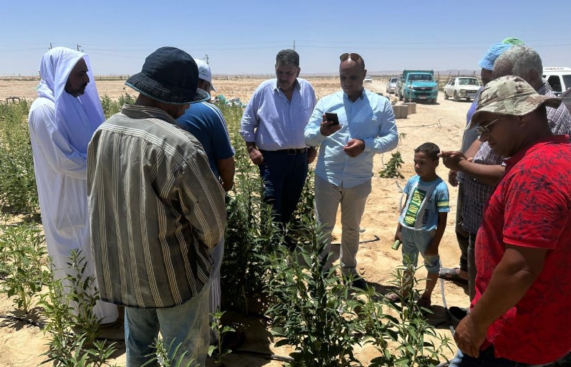 فريق العمل الميداني من مركز بحوث الصحراء