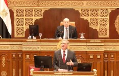 وزير البترول بمجلس الشيوخ