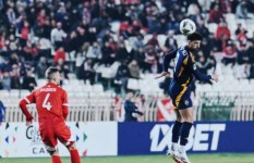 الأهلي 