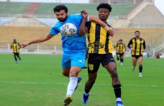 دوري المحترفين 