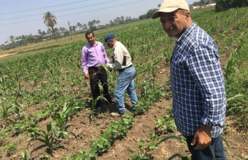 الزراعة  الزراعة