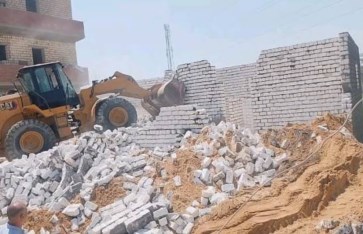 الزراعة  الزراعة