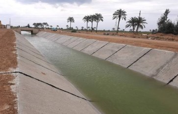 الزراعة  الزراعة