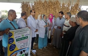 الزراعة  الزراعة