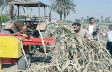 تحويل المخلفات الزراعية تحويل المخلفات الزراعية