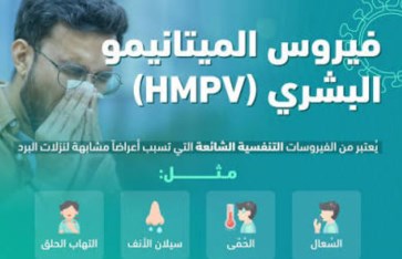 فيروس الميتانيمو فيروس الميتانيمو