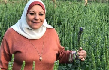 الدكتورة كلارا رضا عزام الدكتورة كلارا رضا عزام