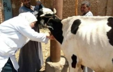 الهيئة العامة للخدمات البيطرية الهيئة العامة للخدمات البيطرية