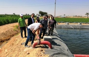 الزراعة  الزراعة