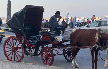 تفسير حلم رؤية ركوب الحنطور في المنام  تفسير حلم رؤية ركوب الحنطور في المنام