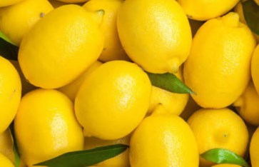 تفسير حلم الليمون الأصفر  تفسير حلم الليمون الأصفر