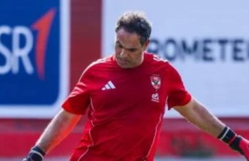 أمير عبد الحميد أمير عبد الحميد