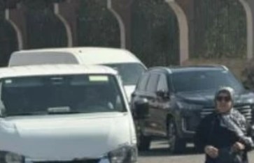 فيفيان الفقي