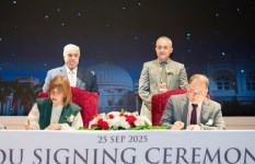 جانب من الفعاليات