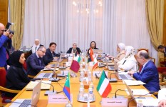 جانب من الفعاليات