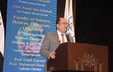 د. السيد قنديل