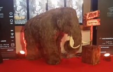 فيلم أوسكار: عودة الماموث