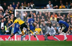 تشيلسي  تشيلسي