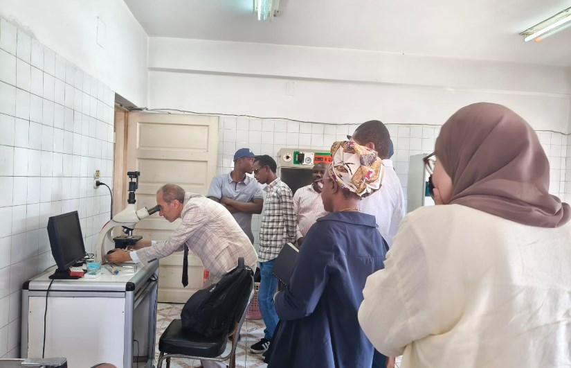 جانب من الفعاليات جانب من الفعاليات