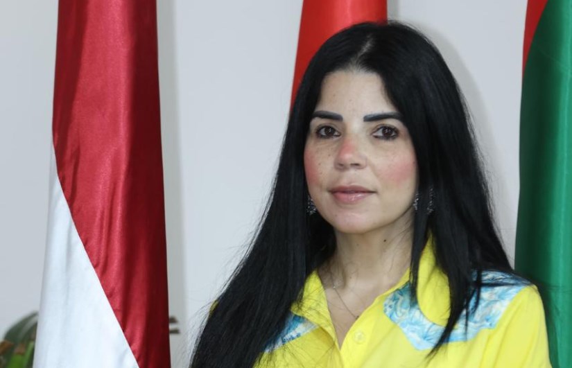 الدكتورة نيفين محمد يوسف الصغير الدكتورة نيفين محمد يوسف الصغير