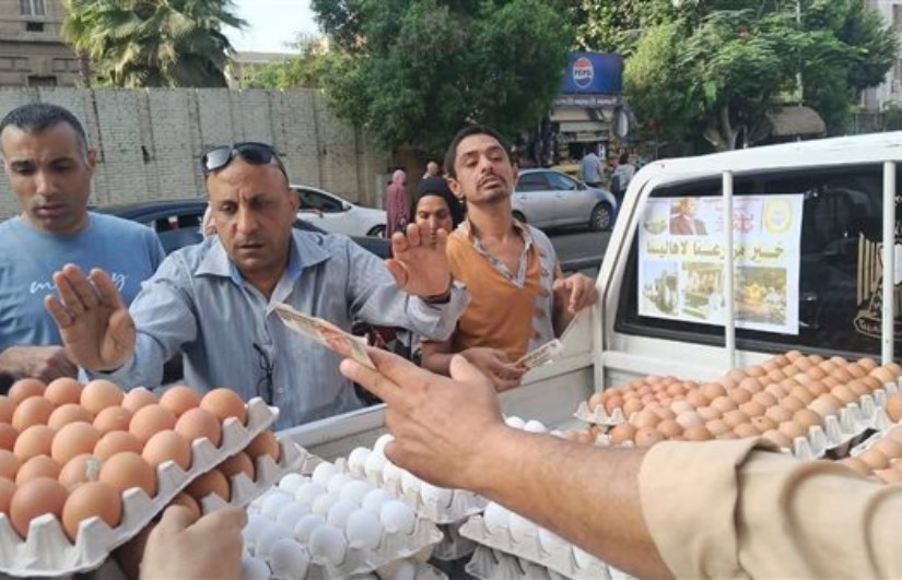 بيض أحمر بيض أحمر