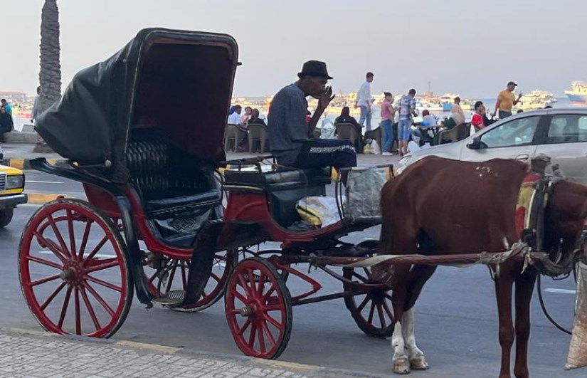 تفسير حلم رؤية ركوب الحنطور في المنام تفسير حلم رؤية ركوب الحنطور في المنام
