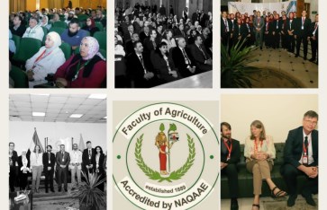 جانب من الفعاليات