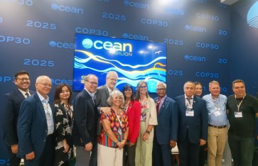 جانب من الفعاليات