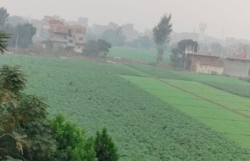 ضباب كثيف صباح اليوم