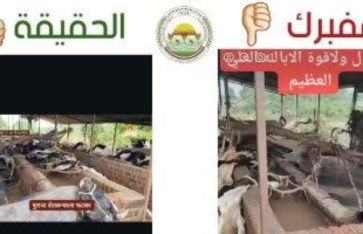 وزارة الزراعة 