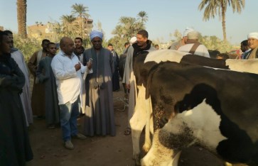 حملات مكثفة لمتابعة أسواق الماشية