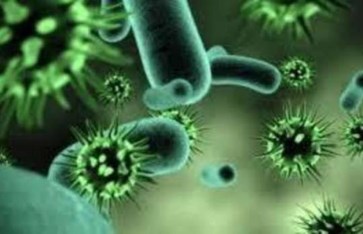 أكثر الفيروسات النشطة حول العالم