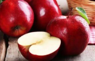 تفسير الاحلام 