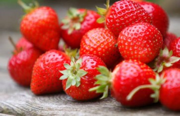 تفسير الاحلام 