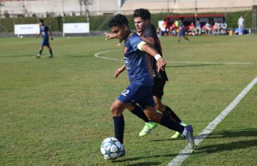 سيراميكا كليوباترا 