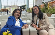 جانب من الفعاليات