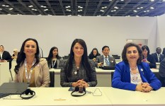 جانب من الفعاليات