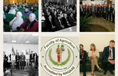 جانب من الفعاليات