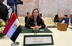 جانب من الفعاليات