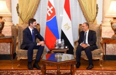 وزير الخارجية يلتقي نظيره السلوفاكي