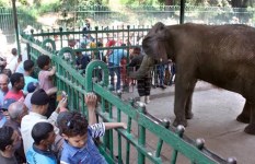 موعد افتتاح حديقة الحيوان بالجيزة 2026