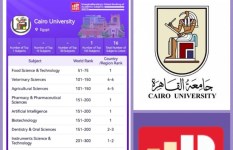 جامعة القاهرة 