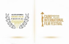 مهرجان القاهرة السينمائي ومهرجان الاسكندرية 