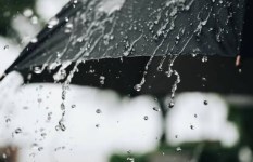 تفسير حلم المطر في المنام