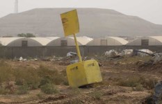 الخط الأصفر