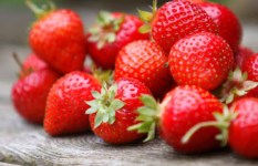 تفسير الاحلام 