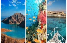 مصر تطور 13 محمية طبيعية 